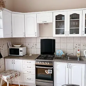 Mitskevycha Square Apartment- At The Center Of Апартаменты Львов